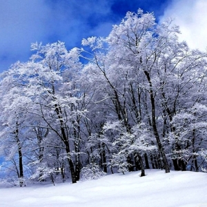 ���l�Ķ���