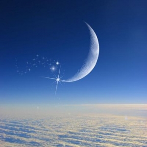 ���������ˡ����ģ�Ů�˲�������