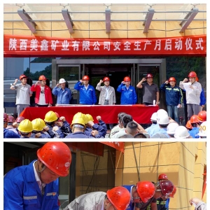 �V�I��˾2019�ꡰ��ȫ���a�¡�����e�І��Ӄxʽ