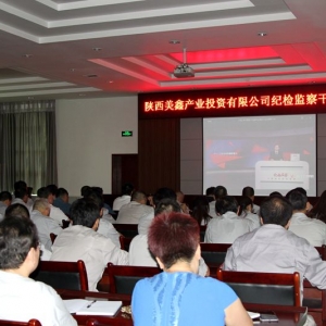 ��˾�oί�_չ�o�z�O��ɲ���Ӗ