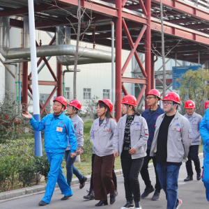 ��˾�M���k����ϵ�y�ˆT�������aһ��