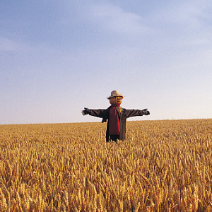 �����ˡ��c���L��ͬ����