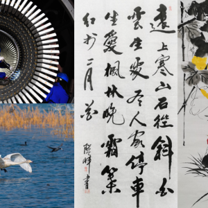 ��˾���x�S���� �cף��ɫ���F��˾����20��������zӰչ