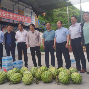 �V�I��˾�_չ����������������ο�����