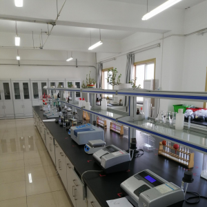 �|(zh��)�zӋ(j��)�������_չ�������B������������(w��n)�����L����ҡ����滯�������M(j��n)��M�u(p��ng)�x���(d��ng)