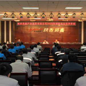 ��˾�_չ2020��������ȫ��Ӗ(x��n)�v��