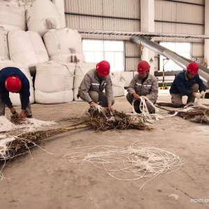 �X�V�Ͻ����������h֧�� ���f���U�����a