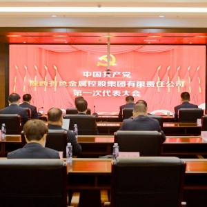 �Ї����a�h�����ɫ���ٿعɼ��F����؟�ι�˾��һ�δ���������_