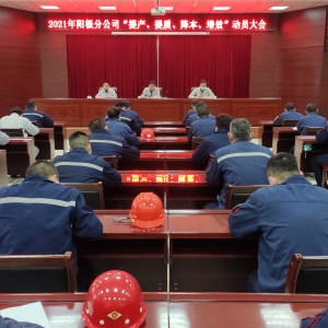 ꖘO�ֹ�˾���_2021�ꡰ��a(ch��n)�����|(zh��)����������Ч���ӆT���