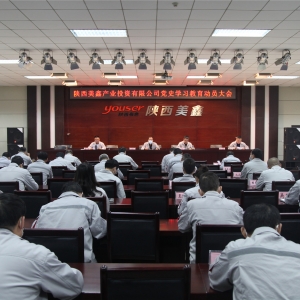 ������ι�˾���_�hʷ�W�������ӆT���