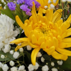 �������ǰ