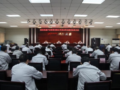 �ڄՌ��V�����Ƅ��hʷ�W�����������ߌ�