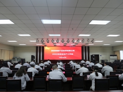 ��˾���_2022�갲ȫ���a(ch��n)������(hu��)