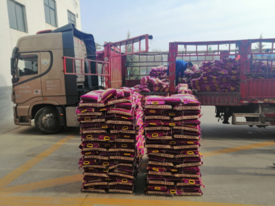 ��˾��T���l�Ŵ���ů�ĸ���