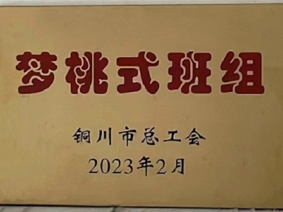 ꖘO�ֹ�˾����܇�g�{(di��o)�ذ�@��2022����~���С�����ʽ��M���s�u�Q̖