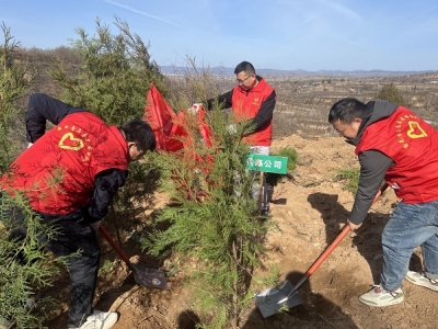 ��˾�_չ������ֲ���x�ա�����ɭ���~����ֲ����