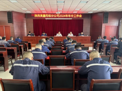 ꖘO�ֹ�˾���_2024�����й�����