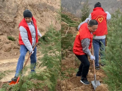 ������ڷ��������_չ"3.12ֲ�九"���