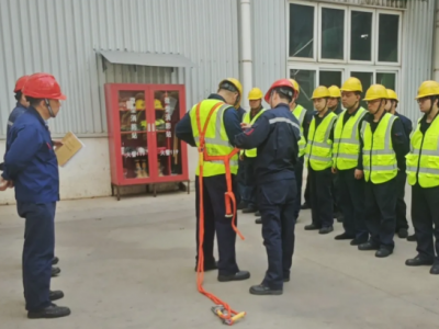 ꖘO�ֹ�˾��܇�g(li��n)��(d��ng) ���ΰ�ȫ���a(ch��n)����