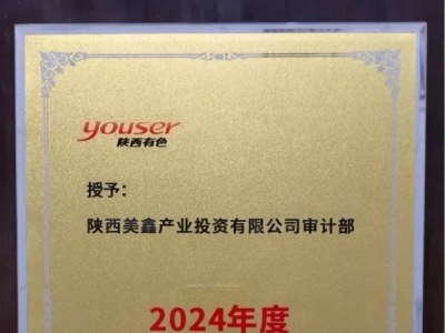 ��˾��Ӌ���s�@�������ɫ���ټ��F2024��Ȍ�Ӌ�������M���w���s�u�Q̖