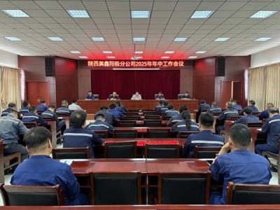 ꖘO�ֹ�˾���_2025�����й������h